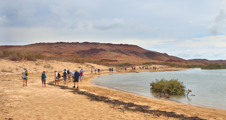 West Lewis Island, DampierArchipelago, Western Australia