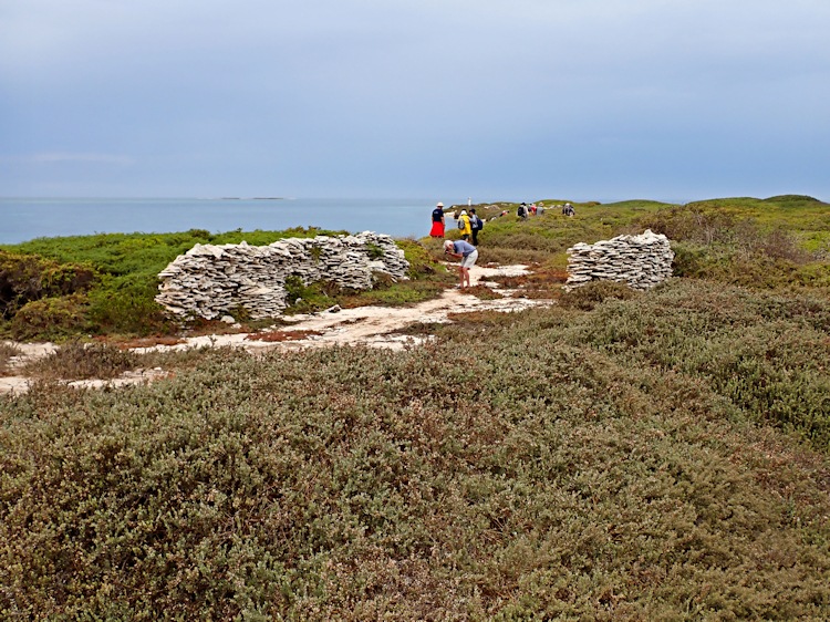 Beacon Island, Wallabi Group, Houtman Albrolhos Islands, Western Australia