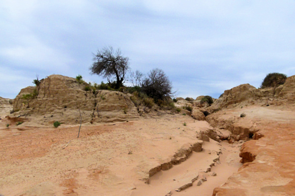 P1020385_mungo.jpg