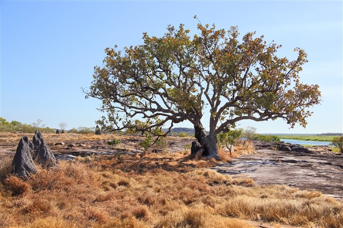 LeftHandBillabong_5892_m_800