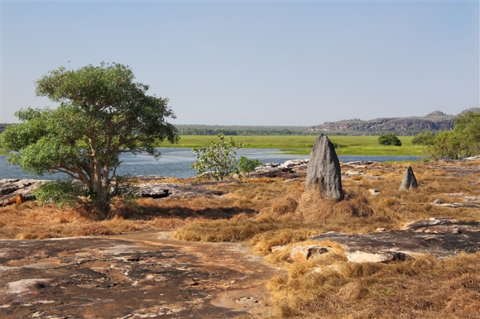 LeftHandBillabong_5893_m_800