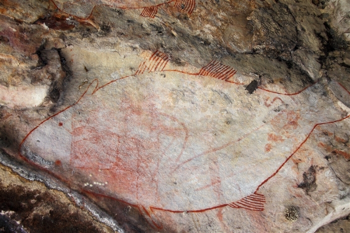 LeftHandBillabong_5898_m_800