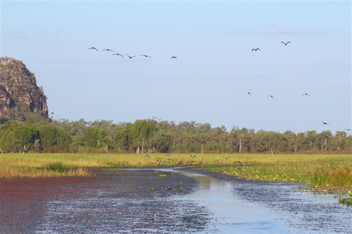 TheChannel_1248_m_800