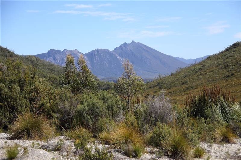 Tasmania_ButtonGrassMoors_1315_800px