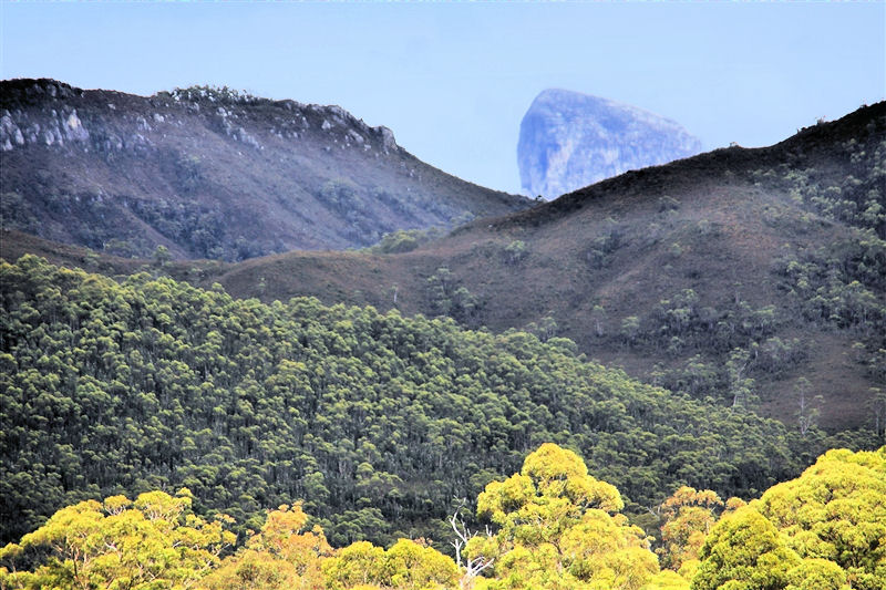 Tasmania_Frenchman'sCap_1483_m_4_800px