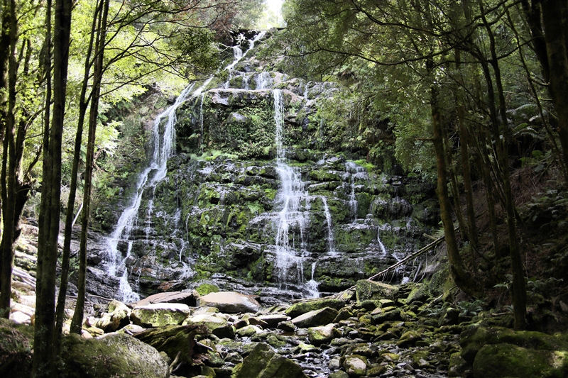 Tasmania_NelsonFalls_1535_800px