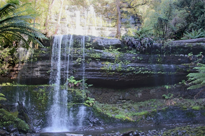 Tasmania_RussellFalls_1300_800px