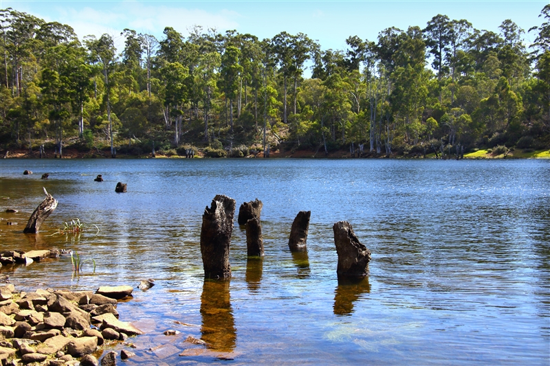 Tasmania_TungatinahLagoon_1420_m_800px