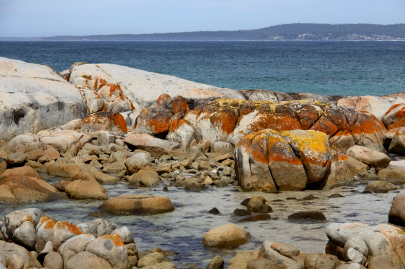 Tasmania_BayOfFires_1956_800px