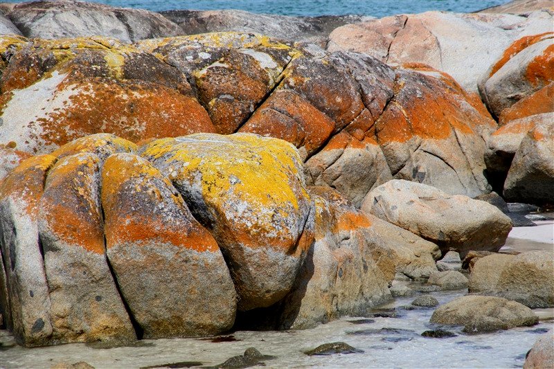 Tasmania_BayOfFires_1958_800px