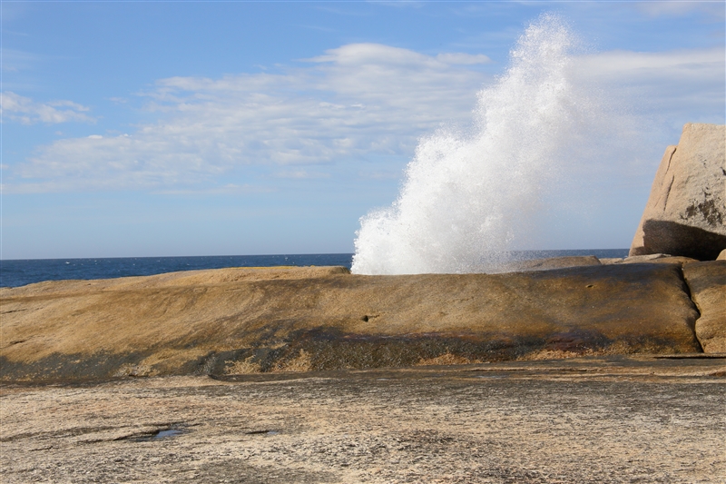 Tasmania_BichenoBlowHole_2126_800px
