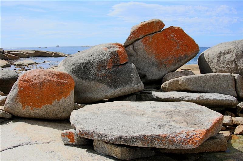 Tasmania_BichenoBlowHole_2128_800px