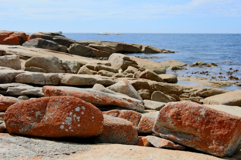 Tasmania_BichenoBlowHole_2129_800px