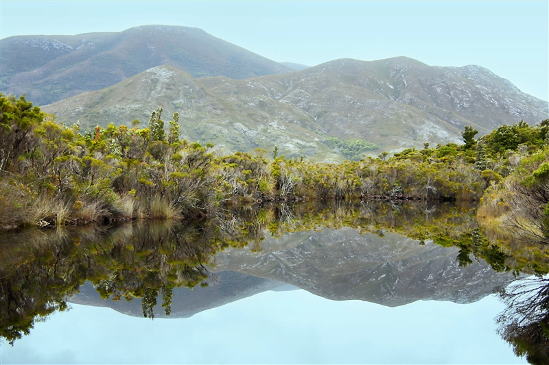 Tasmania_MelaleucaTrip_0909_m_800px