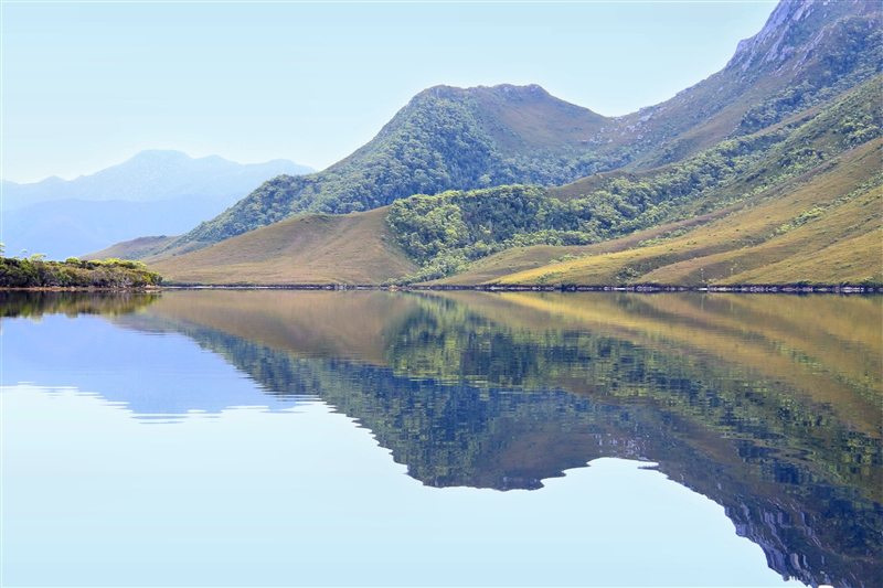 Tasmania_MelaleucaTrip_0969_m_800px