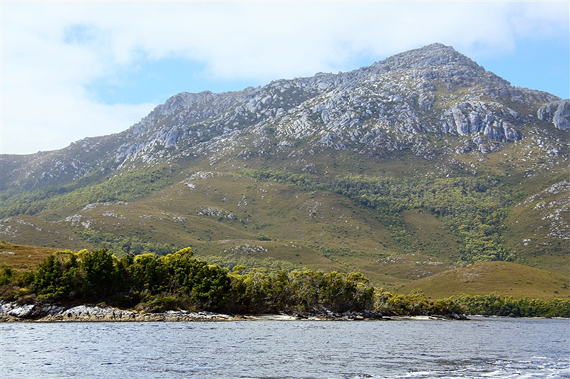 Tasmania_MelaleucaTrip_1033_m_800px