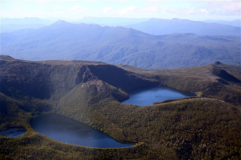 Tasmania_MelaleucaTrip_1129_800px