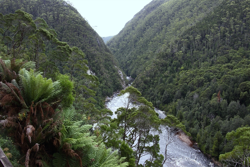 Tasmania_Queenstown_Train_1613_800px