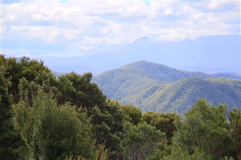 Tasmania_StrahanArea_1655_800px