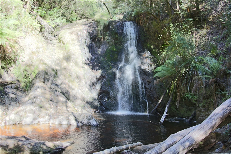 Tasmania_Strahan_HogarthFalls_1674_800px